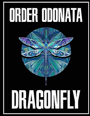 PsyTechProject_Gabriel-Le-Mar_Dragonfly